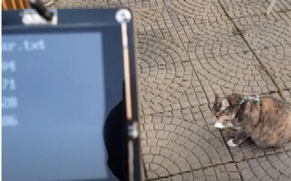 Picture